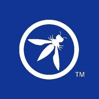 OWASP® Foundation logo