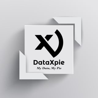 DataXpie logo