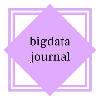 thebigdatajournal logo