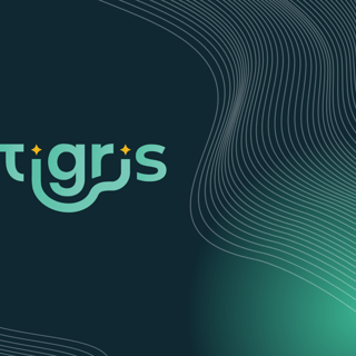 Tigris Data logo