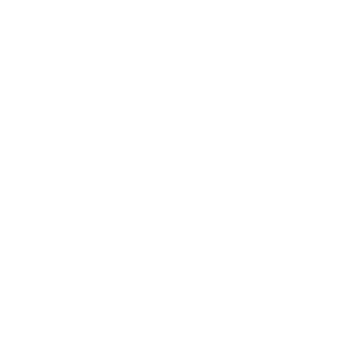 Distinction Dev logo