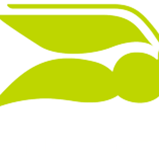 Hornetsecurity logo