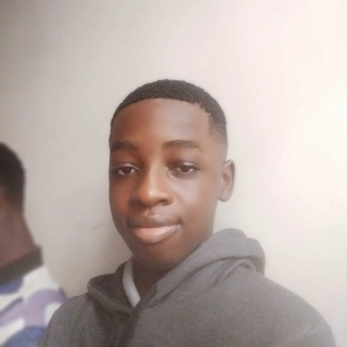 psecuresystem profile picture