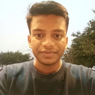 Shubhadip Bhowmik profile picture