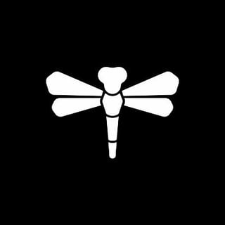 Dragonfly profile picture