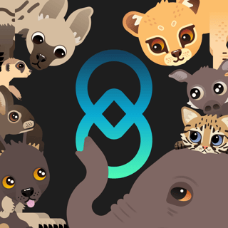 Wildchain | MINTING JUNE 5th 🐆 profile picture