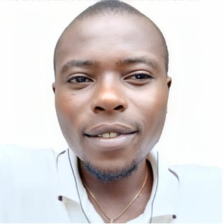 Kingsley chukwuebuka  profile picture