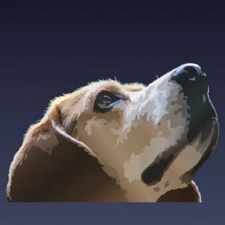 God as a doG profile picture