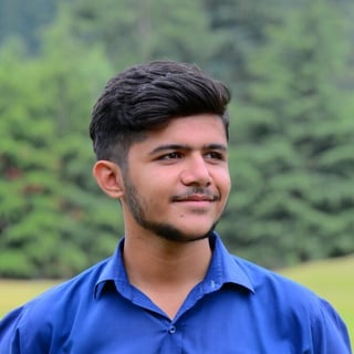 Usman Zahid profile picture