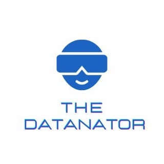 thedatanator profile picture