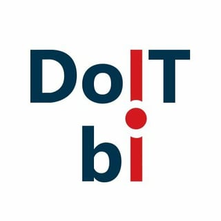 DOIT BI Software Company profile picture