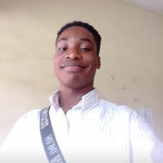 Patrick Victor Chukwunonso  profile picture