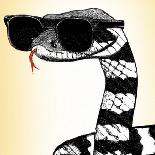NightProg profile picture