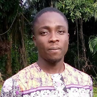 Oranekwu Gabriel Ekene profile picture