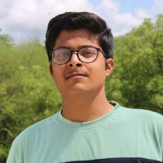 Ayush Talesara profile picture