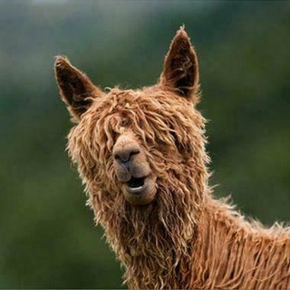 Draks898 profile picture