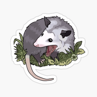 Sleepy Possum profile picture