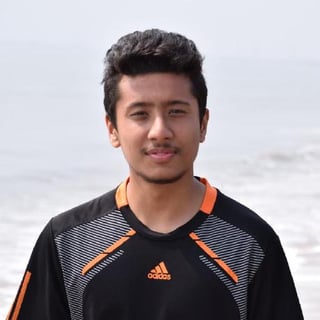 Pramesh Bajracharya profile picture