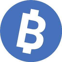 Bitnet Money profile picture
