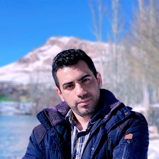 Mohsen Karami profile picture