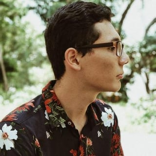 Diego Velásquez profile picture