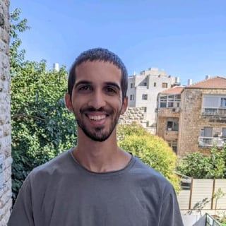 Yiftach Beer profile picture