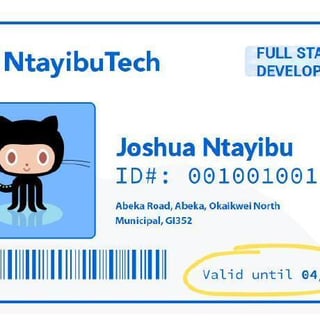 Joshua The Programmer profile picture