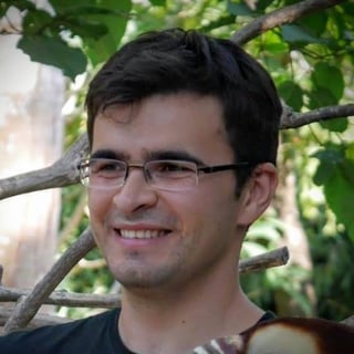 Ionut Neagu profile picture