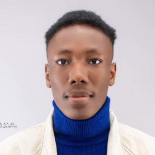 Oluwatobi Adekunle (kerdaino dev) profile picture