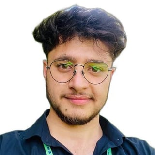 saleem sultani profile picture