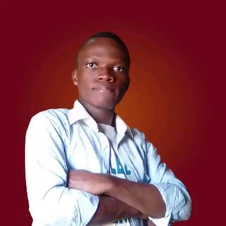 Alphonse KAZADI profile picture