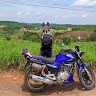 Bảo trần vũ profile picture