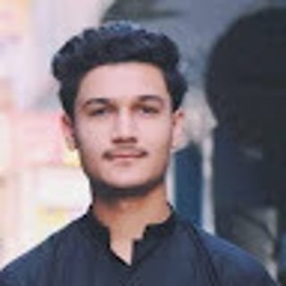 hamza saqib profile picture