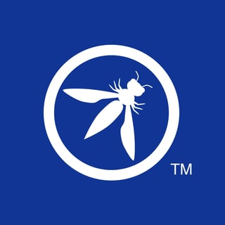 OWASP Foundation profile picture