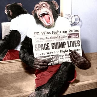 SpaceAgeBonobo profile picture