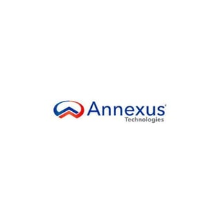 annexus technologies profile picture