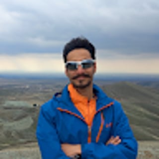 Ali Salehi profile picture