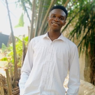 Temiloluwa Akintade profile picture