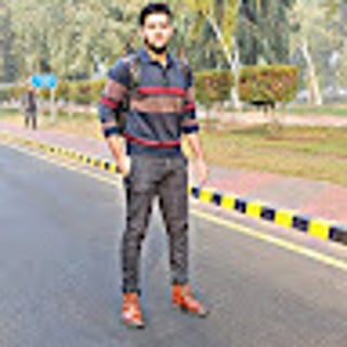 Ali Tariq profile picture