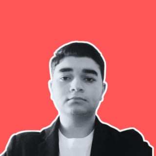 Namik Ahmedov profile picture