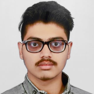 Raghav Gupta profile picture