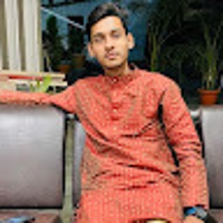 Samarpit Nandanwar profile picture