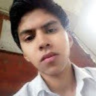 Diego Andreé Cordero Palomino profile picture