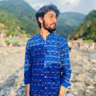 USMAN AWAN profile picture