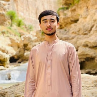 Ahmadullah Ahmadi profile picture