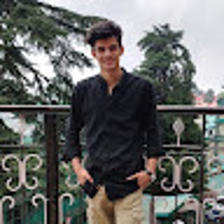 Divyansh Chauhan profile picture