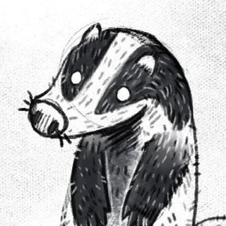 WebDev Badger profile picture