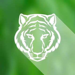 Supertiger profile picture