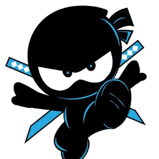 Code Ninja profile picture