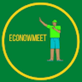 econowmeet profile picture